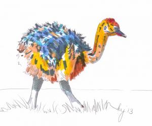 Young Ostrich Drawing